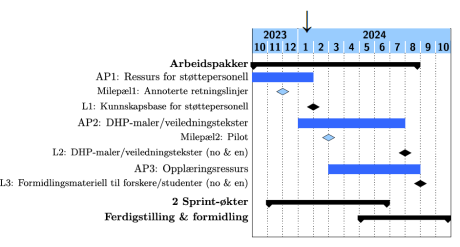 Tidsplan for DMP-prosjektet