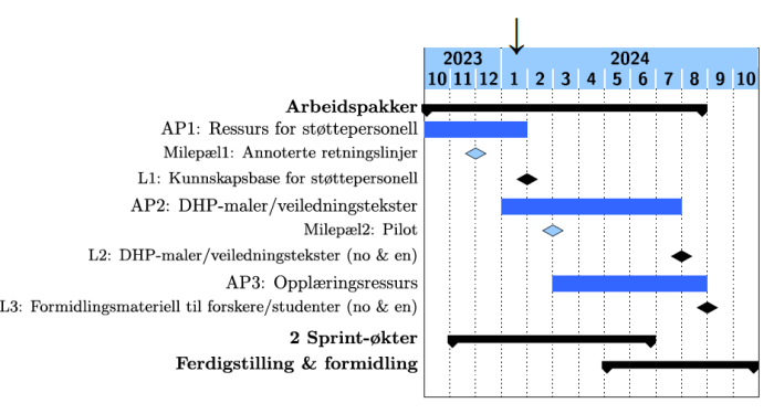 Tidsplan for DMP-prosjektet